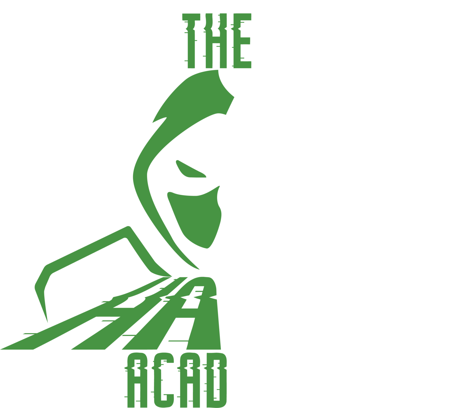 Penetration testing course online ethical hacking basics